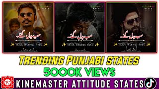 How To Make Punjabi Poetry Status Video|TikTok Punjabi Poetry Status Editing |Manzar Editor PK screenshot 1