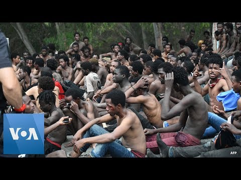 155 Migrants Jump