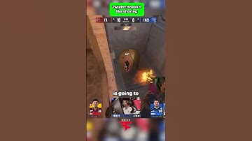 Twistzz Shares His Kills with Frozen Against Fluxo 🥰 #cs2