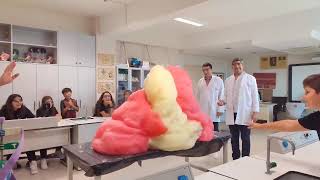 Fildişi Macunu Deneyi