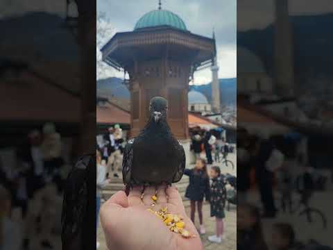 #sarajevo #visitsarajevo #bascarsija