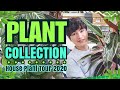 PLANT TOUR 2020 🌿🌱🌸 | My 60+ PLANT COLLECTION | Welcome to my Jungle! | おすすめ観葉植物 | VLOG 022