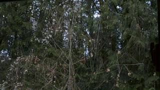 DSCF0013