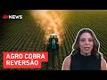Mariana Grilli: Agro divide opinião entre Congresso e Palácio do Planalto