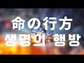 생명의 행방 (命の行方 / Inochi No Yukue) - 더스트셀 (DUSTCELL) [한국어 가사, 발음, 해석]