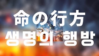 생명의 행방 (命の行方 / Inochi No Yukue) - 더스트셀 (DUSTCELL) [한국어 가사, 발음, 해석]