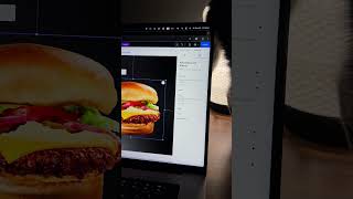 Interactive Burger Animations for your website NO CODE