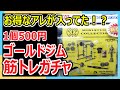 新作で高級！！ 1個500円 まさかのアノお店の筋トレガチャ ゴールドジム GOLD'S GYM