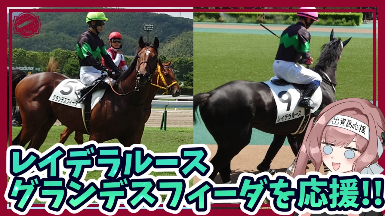 出資馬レイデラルース、グランデスフィーダを応援! #競馬 #DMMバヌーシー #一口馬主