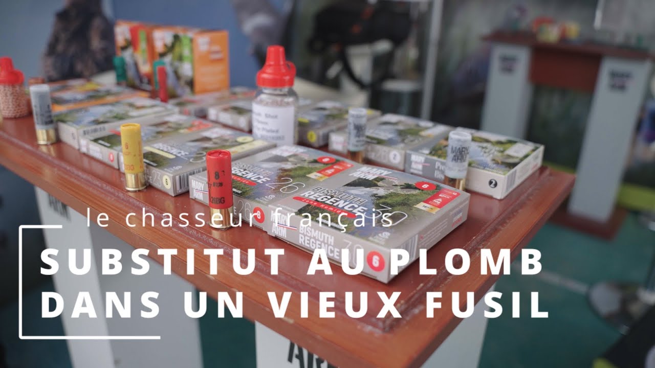 Quelle cartouche pour la chasse en zone humide avec un vieux fusil?