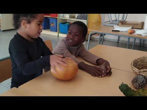 Vídeo: Cura del gerd a la tardor i preparació per a l’hivern