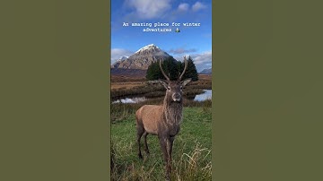 Visit Glencoe l Scotland