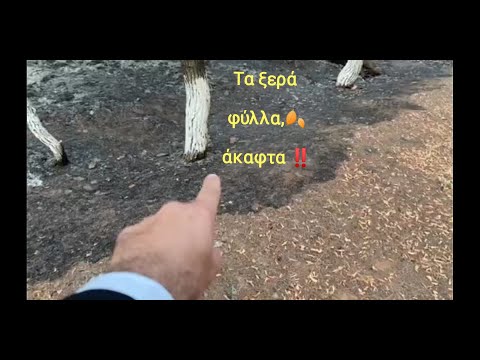 Θαύμα στο εκκλησάκι