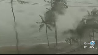 Action Line Consumer Alert Insurance Scam