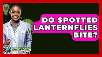 Do Spotted Lanternflies Bite? - Earth Science Answers
