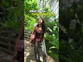 This Is Where You Can Find Nature in Tokyo