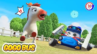 🎯 Cuộc Đua Kì Thú 🐴 An Toàn Cưỡi Ngựa 🚔 Hoạt Hình Cảnh Sát Trưởng GOGO Bus