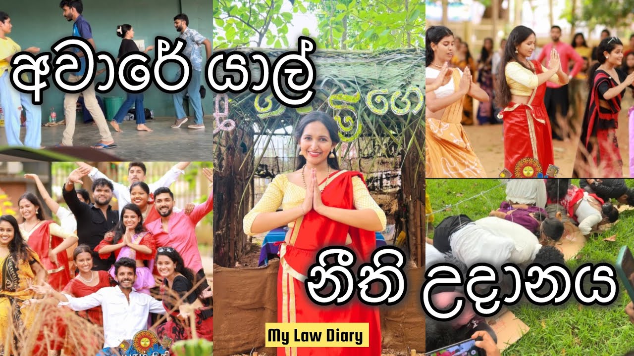මේ පාර නම් නැටුම නෑවා😂l අපේ අන්තිම අවුරුදු උත්සවේ❤️‍🩹l #lawstudent  #univlog
