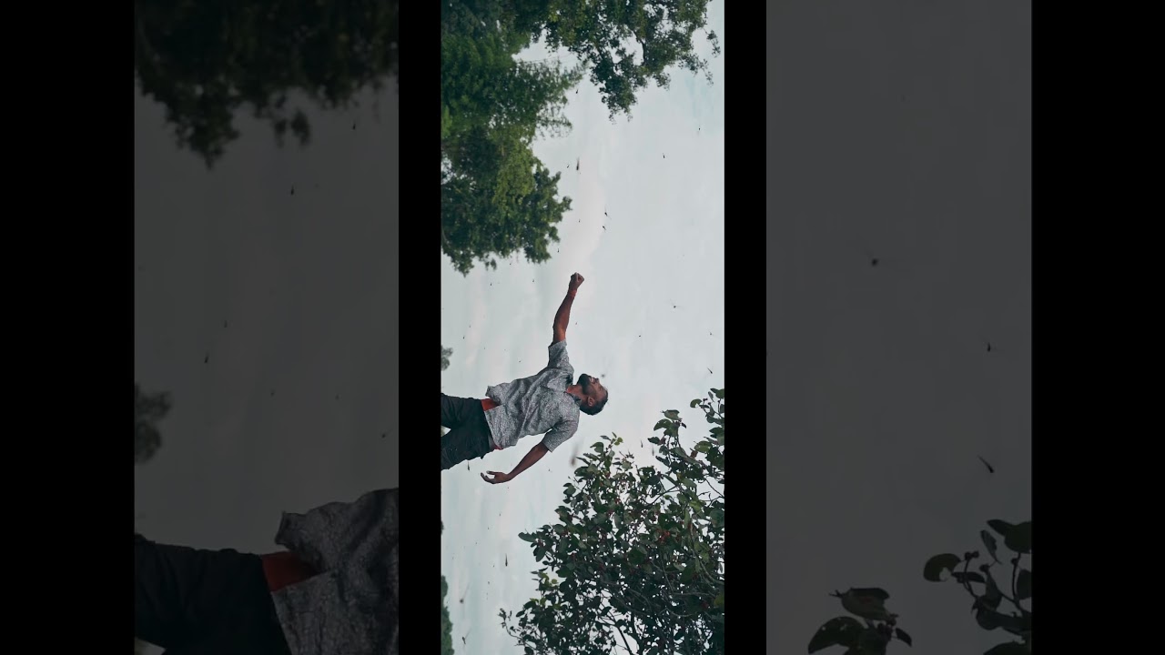 The Dragonfly Show #firstshortvideo #strangerthings #travel #cinematic #colorgrading #davinciresolve