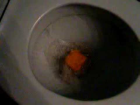 Aux Chiottes Video