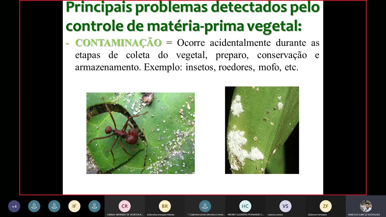 Farmacognosia - Controle de qualidade de drogas vegetais