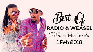 Best Of Radio \u0026 Weasel Tribute Mix Songs 2018