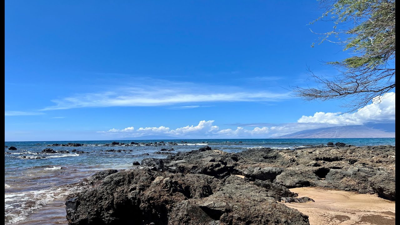 Snorkeling at Ulua Beach, Maui YouTube