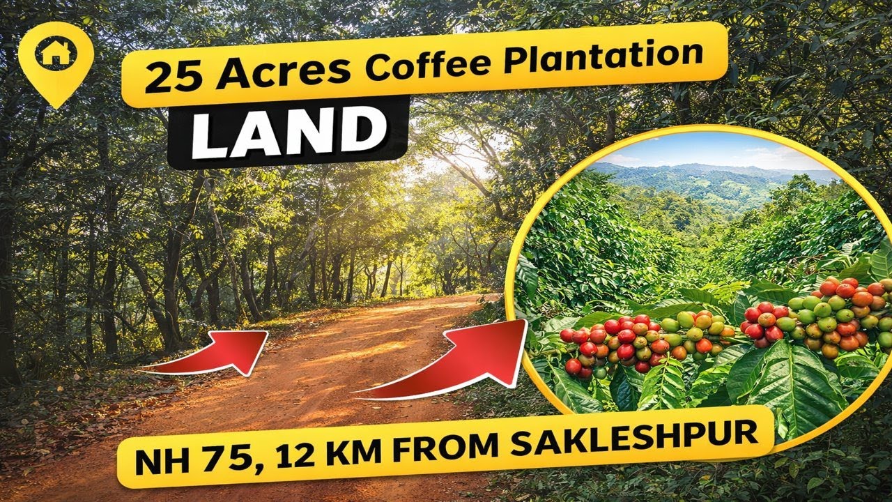 ✅ 25 Acres Scenic Coffee Land for Sale Near Sakleshpur | Stream + Spring Water | NH75 (12 KM)