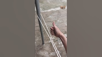 Mẹo Vặt Quanh Bạn. #shorts #shortvideo #trending #trendingshorts #xuhuong #tips #day #top