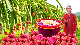 AIR JUS BUAH NAGA LAICI | Fresh dari Ladang ‼️ | Dragon Fruit with Laichee Juice !