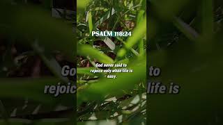 This is the day the Lord has made: REJOICE. #rejoiceinthelord #easterseason2026