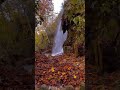 Sound of Autumn: Stunning Waterfalls &amp; Fall Foliage ASMR 💧#shortvideo #asmr #autumn #shorts