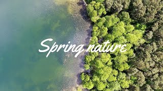 Spring Nature - Poland 4K