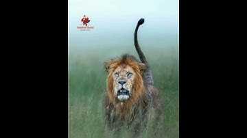 Day to Night #moodyedits #photoediting #snapseed