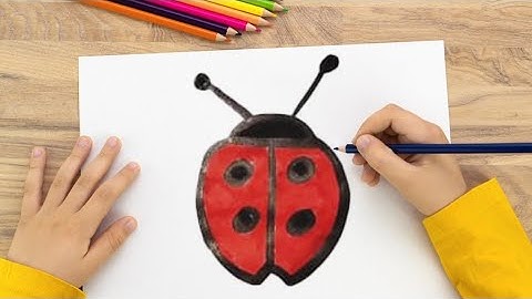 Ladybug Drawing For Kids|Ladybug Drawing Step By Step|Ladybug Drawing Video|Ladybug With Coloring...