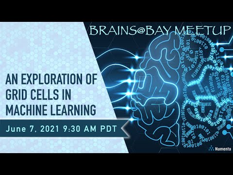 Brains@Bay Meetup -