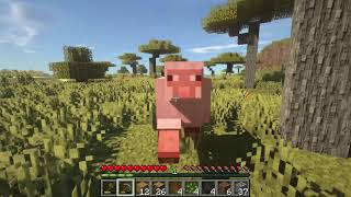 Relaxing Minecraft Longplay with Nature Sounds and Music screenshot 4