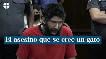 ¿Cuál es el asesino silencioso de los gatos?