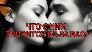 картинка: ЧТО С НИМ ТВОРИТСЯ ИЗ-ЗА ВАС?