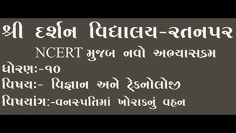 Std-10|Sub-Sci & Tech.| વનસ્પતિમાં ખોરાકનું વહન    |darshanschool Ratanpar