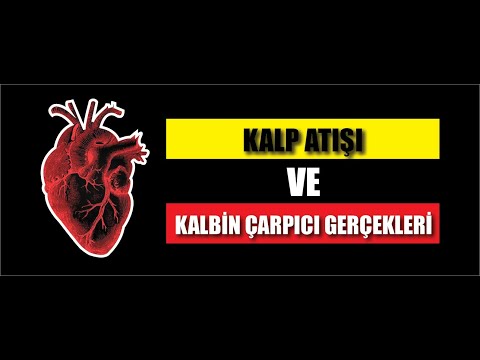 İNSAN KALBİ HAKKINDA 28 İLGİNÇ BİLGİ!!! -KALBİNİZİ HEMEN İYİLEŞTİRİN-