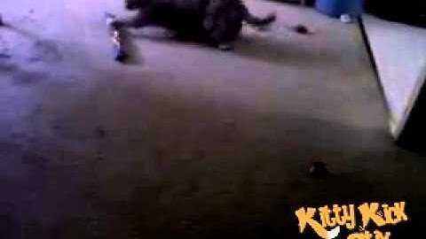 Original 15" Kitty Kick Stix - Handmade in the USA