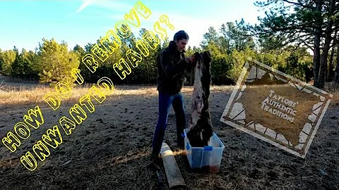 Part II: Soaking & Dehairing