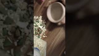 Routinajsem Tu Nová