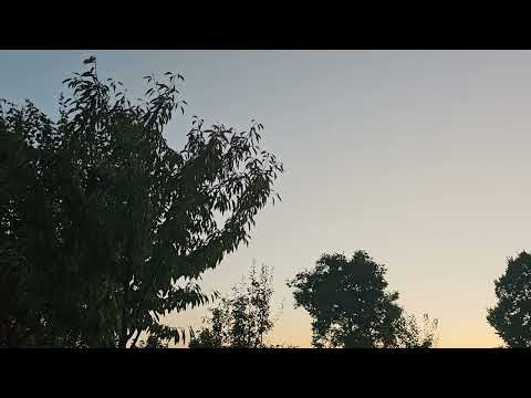 Xiaomi 15 Ultra video timelapse