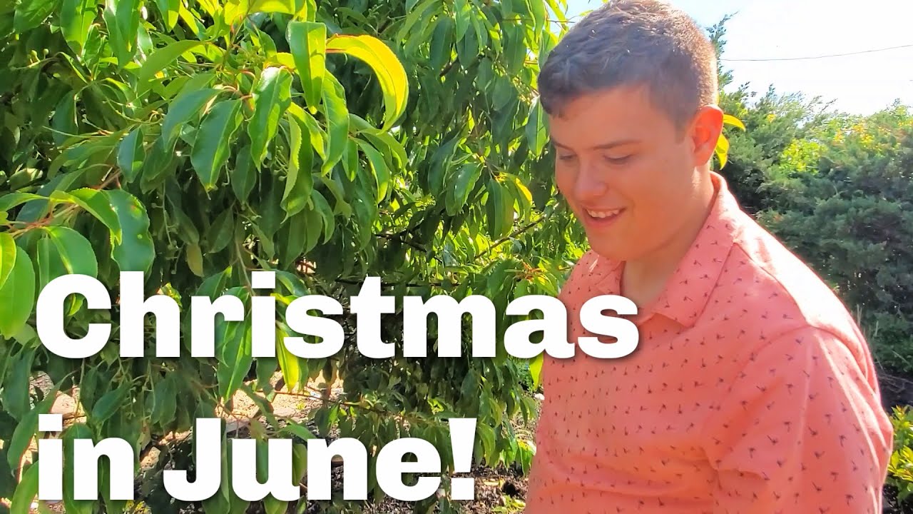 Christmas in June YouTube