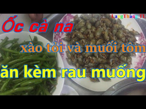 ỐC CÀ NA