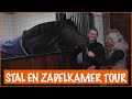 De toppaarden van Renate | PaardenpraatTV