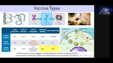 Efficient Algorithms for Optimized mRNA Vaccine Sequence Design