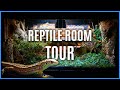 REPTILE ROOM TOUR SPRING 2021